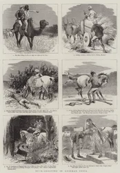 Caza de Venados en Guzerat, India